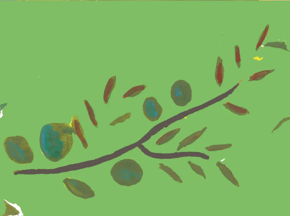 Olea Europa